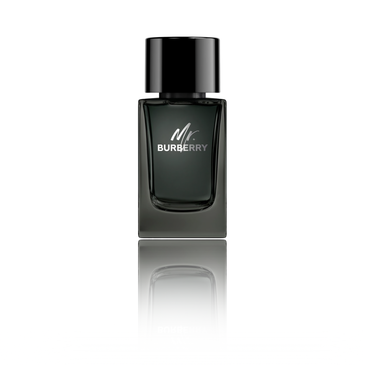 Mr. Burberry Eau de Parfum 100 ml